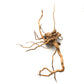 Spider Aquarium Driftwood - H2O Plants