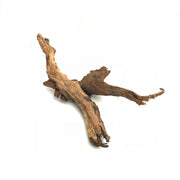 Pacific Driftwood (Randomly Selected) - H2O Plants