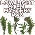 Low Light Stem Mystery Box Plant Package - H2O Plants