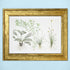 Tropica Aquatic Plant Art Poster - Madagascariensis (15.7" x 11.8") - H2O Plants